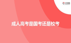 成人高考是国考还是校考
