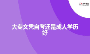 大专文凭自考还是成人学历好