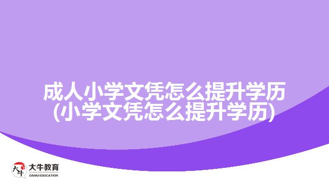 成人小学文凭怎么提升学历(小学文凭怎么提升学历) 成人小学文凭怎么提升学历(小学文凭怎么提升学历)