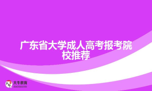 广东省大学成人高考报考院校推荐