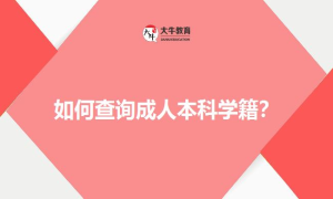 如何查询成人本科学籍？