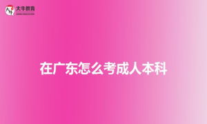 在广东怎么考成人本科