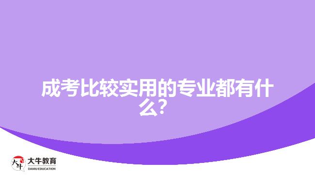 成考比较实用的专业都有什么？