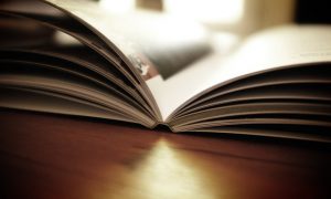 成考报名阶段，专业和学校孰轻孰重？